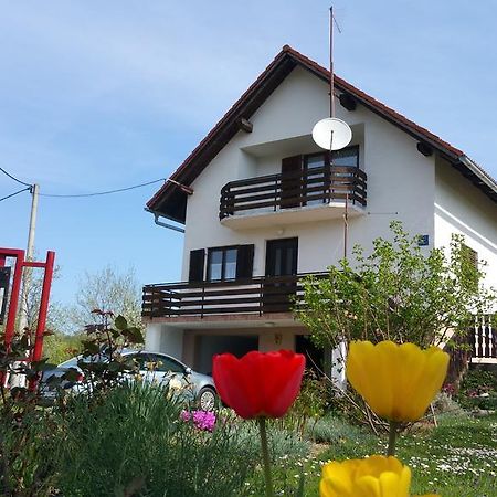 Apartment Ankica Seliste Dreznicko Exteriör bild