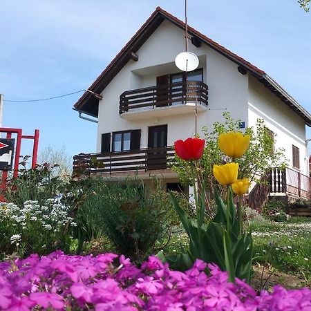 Apartment Ankica Seliste Dreznicko Exteriör bild