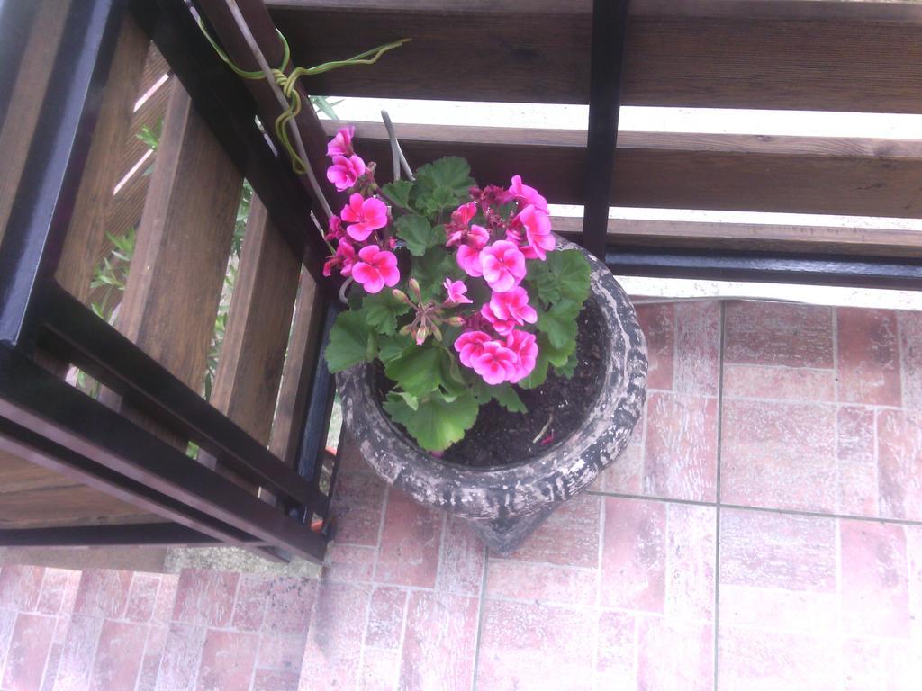 Apartment Ankica Seliste Dreznicko Rum bild