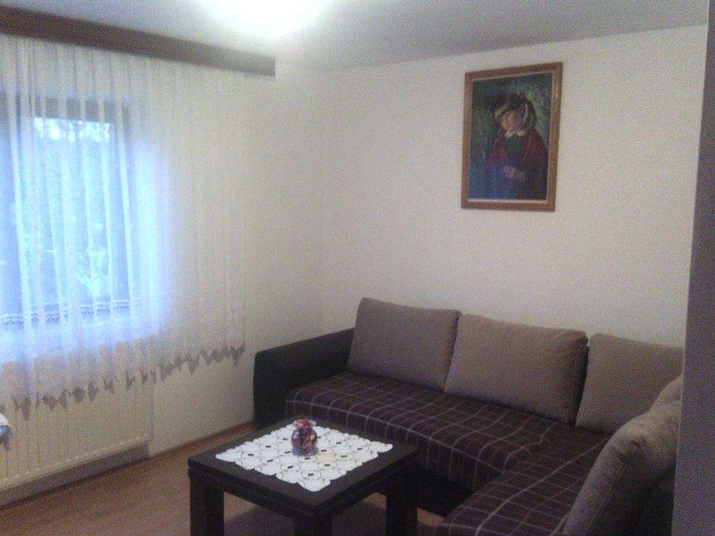 Apartment Ankica Seliste Dreznicko Rum bild