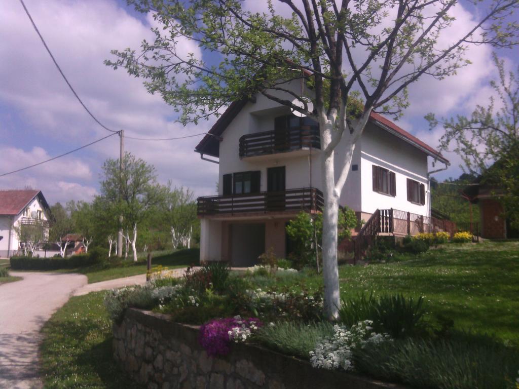 Apartment Ankica Seliste Dreznicko Rum bild