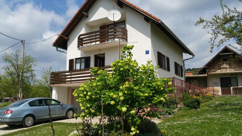 Apartment Ankica Seliste Dreznicko Exteriör bild