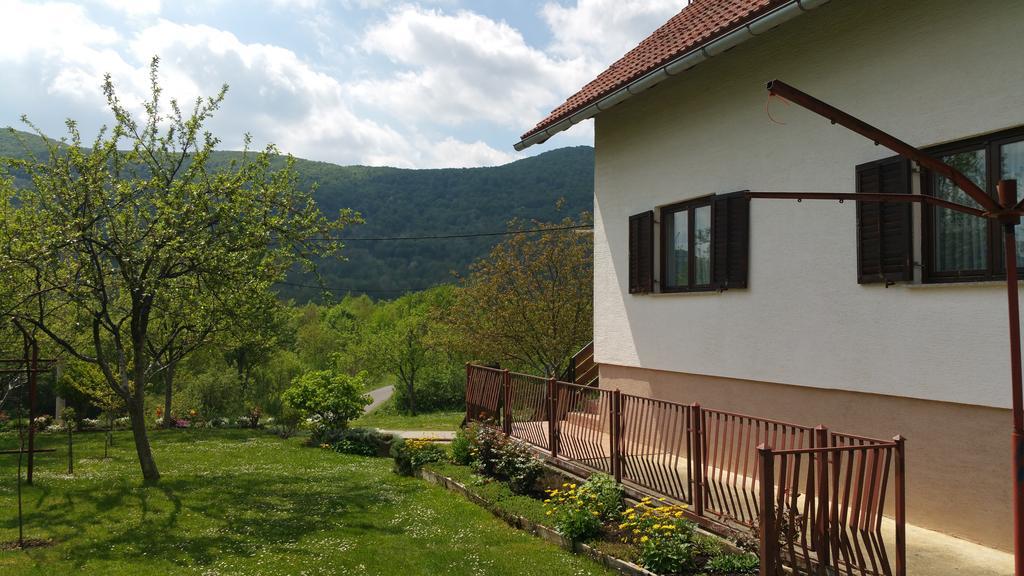 Apartment Ankica Seliste Dreznicko Exteriör bild