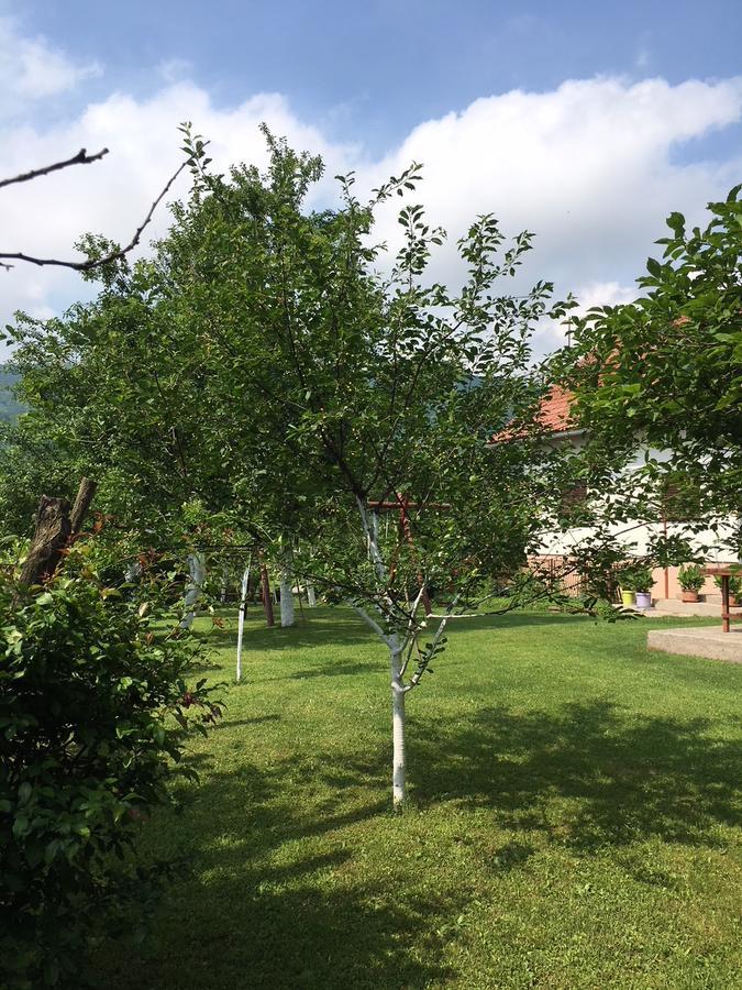 Apartment Ankica Seliste Dreznicko Exteriör bild