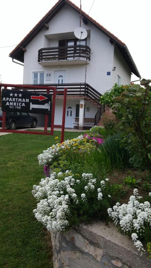 Apartment Ankica Seliste Dreznicko Exteriör bild