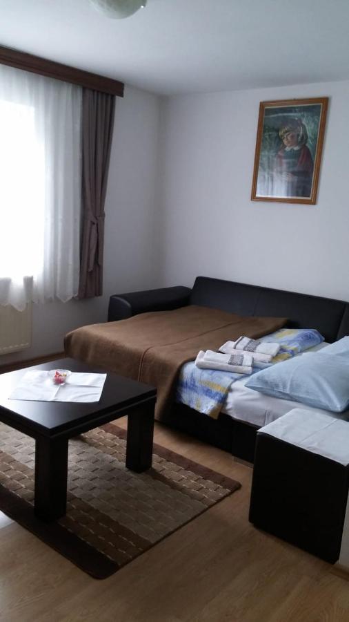Apartment Ankica Seliste Dreznicko Exteriör bild